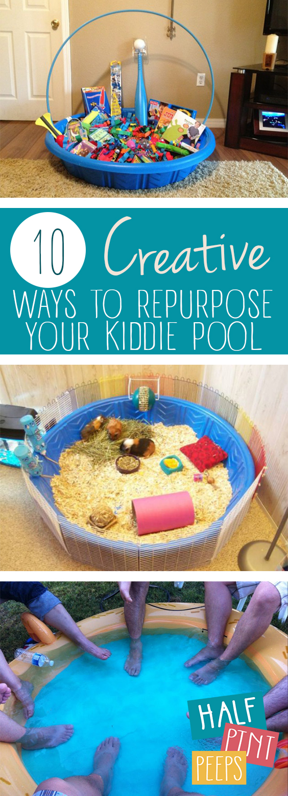 10 Creative Ways to Repurpose Your Kiddie Pool Half Pint Peeps