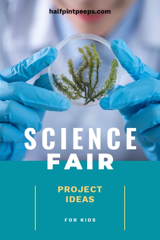 Science Fair Project Ideas: Science Fair Projects - Halfpintpeeps.com