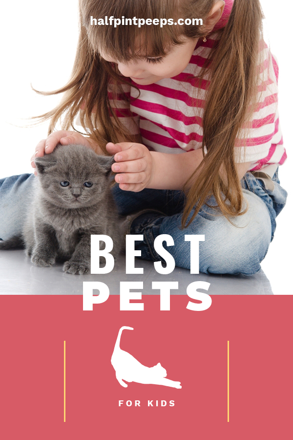 The Absolute Best Pets For Kids