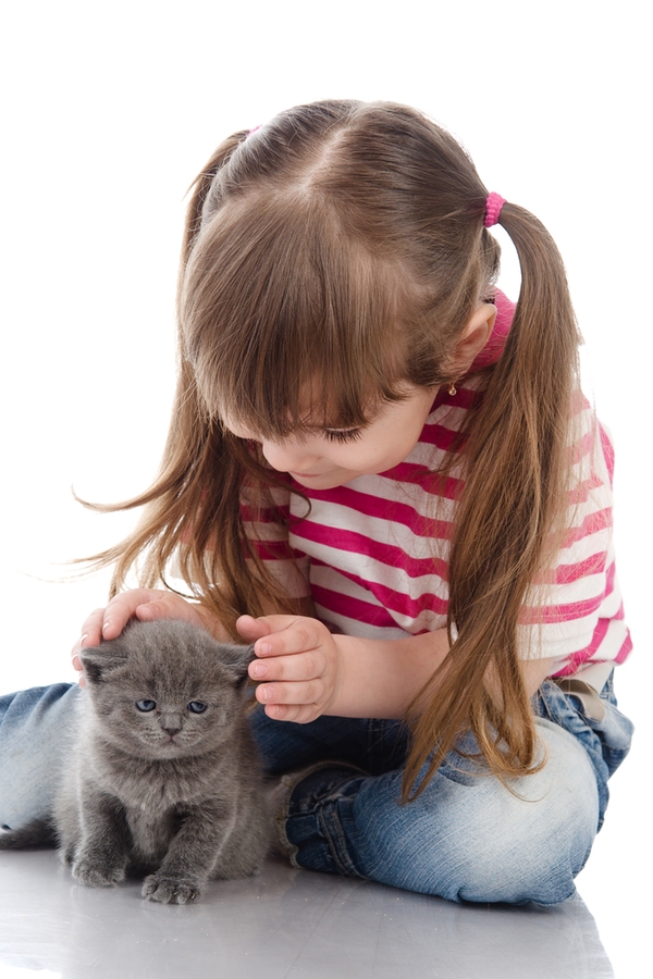So your kids are begging for a pet but you don't know what the best pets for kids are. You're in luck. We have a list of the best pets for kids. Cats are always a good choice. 