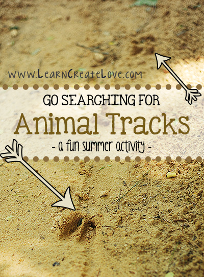 How to Keep Your Kids Entertained While Camping| Camping, Camping With Kids, Kid Tips and Tricks, Camping Hacks, Kid Stuff, Camping Tips and Tricks, Camping Tips and Tricks, Camping Hacks, Camping Activities For Kids